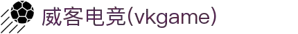 威客电竞 - 以威之名,客聚天下,竞创辉煌